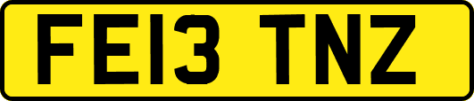 FE13TNZ