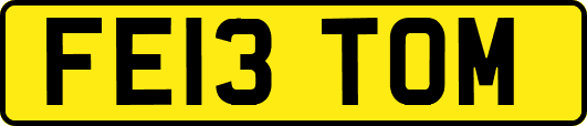FE13TOM