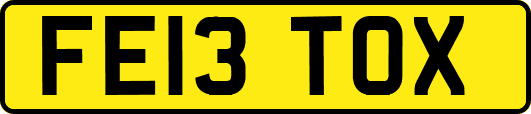 FE13TOX