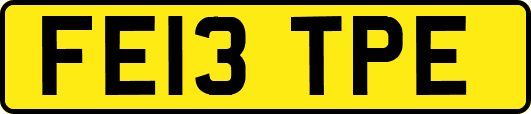FE13TPE