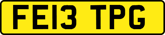 FE13TPG