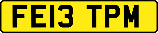 FE13TPM