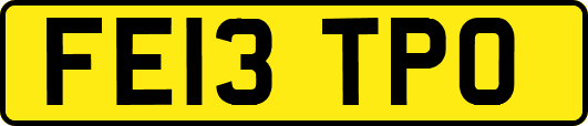 FE13TPO
