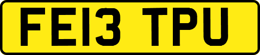 FE13TPU