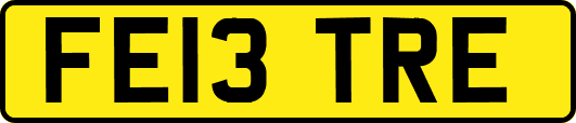 FE13TRE