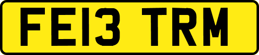 FE13TRM