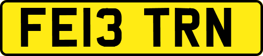 FE13TRN