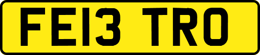 FE13TRO