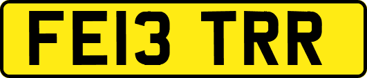 FE13TRR