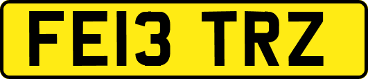 FE13TRZ