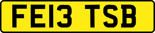 FE13TSB