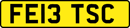 FE13TSC