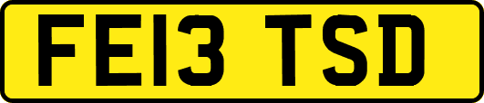 FE13TSD