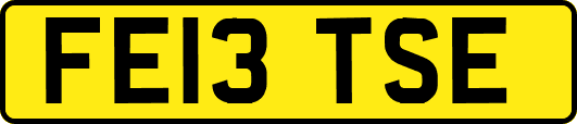 FE13TSE
