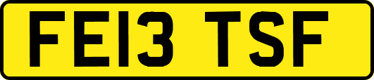 FE13TSF