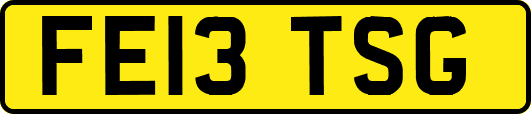 FE13TSG