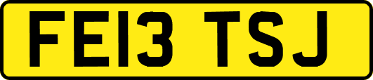 FE13TSJ