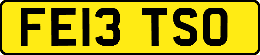 FE13TSO