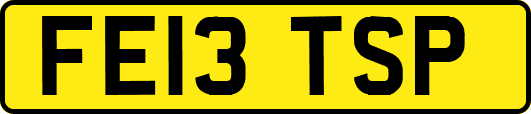 FE13TSP