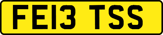 FE13TSS