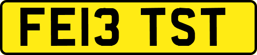 FE13TST