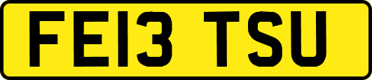 FE13TSU