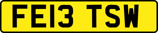 FE13TSW