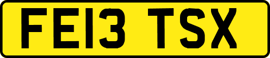 FE13TSX