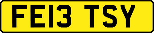 FE13TSY