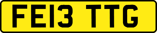 FE13TTG