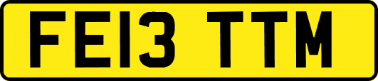 FE13TTM