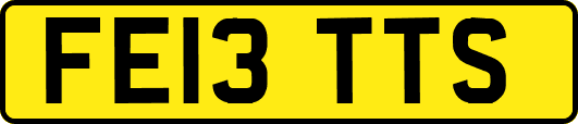 FE13TTS