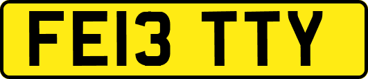 FE13TTY