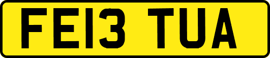 FE13TUA