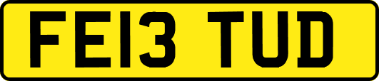 FE13TUD
