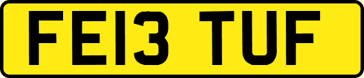 FE13TUF