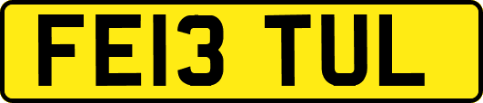 FE13TUL