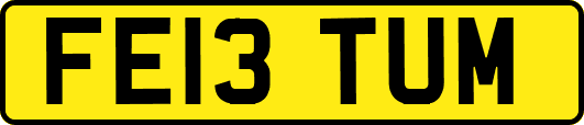 FE13TUM