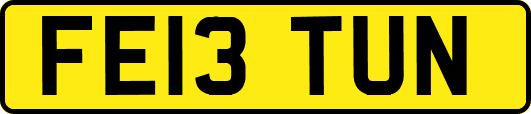 FE13TUN