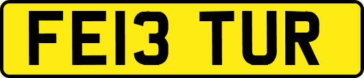 FE13TUR