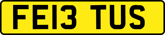 FE13TUS