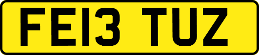 FE13TUZ