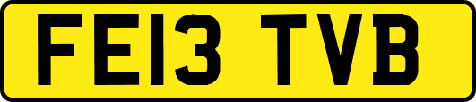 FE13TVB