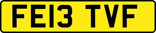 FE13TVF