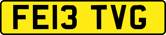 FE13TVG