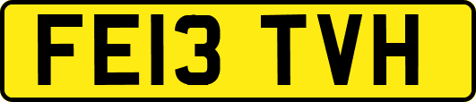 FE13TVH
