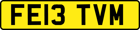 FE13TVM