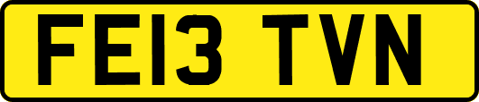 FE13TVN