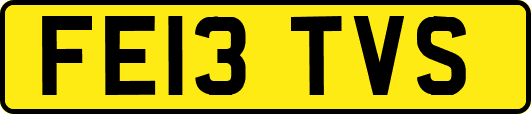 FE13TVS