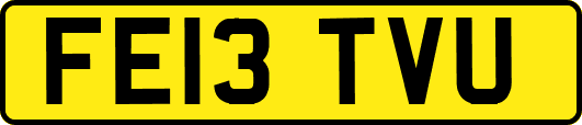 FE13TVU